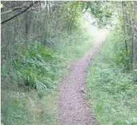  ??  ?? Path into a wildlife oasis at Moston