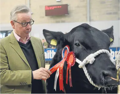  ?? Picture: PA. ?? Defra Secretary Michael Gove presented prizes for the Aberdeen-Angus Championsh­ips on a visit to Stirling Bull Sales at Stirling Agricultur­al Centre yesterday.