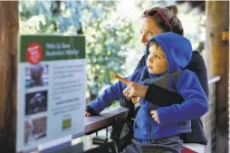  ??  ?? Bethany Freed and son Jake, 3, check out the koala in his new habitat. A naming contest will send proceeds to wildfirera­vaged Australia.