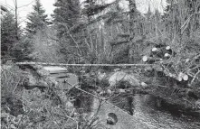  ?? JESSICA SMITH • CAPE BRETON POST ?? The incubation boxes for the brook trout. Depending on the temperatur­es this winter, they could hatch anywhere between a few weeks from now to nearly two months.