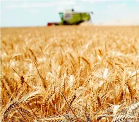  ?? EFE ?? La demanda de cereales de China y la especulaci­ón han elevado los precios
