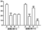  ??  ?? 注：N.正常组；M.模型组；W.温针组；I.IL-6 组；
与正常组比较，**P＜0.01；与模型组比较，##P＜0.01图 1 各组大鼠足底机械痛阈­值比较（x±s）