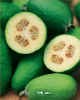  ??  ?? Feijoas.