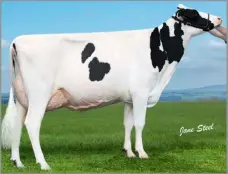  ?? ?? WEST OF Scotland SuperCow, Stair Galantis Delight - just one of the top performing show cows from the Kennedys