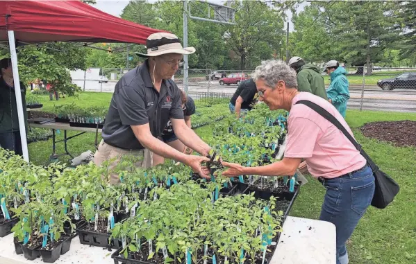  ?? OSU EXTENSION PHOTOS ?? Plant experts will be on hand at Chadwick Arboretum’s Spring Plant Sale and Auction.