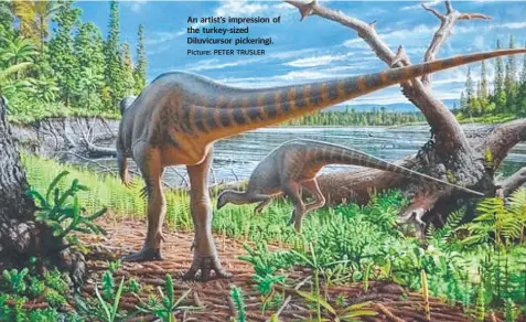  ?? Picture: PETER TRUSLER ?? An artist’s impression of the turkey-sized Diluvicurs­or pickeringi.