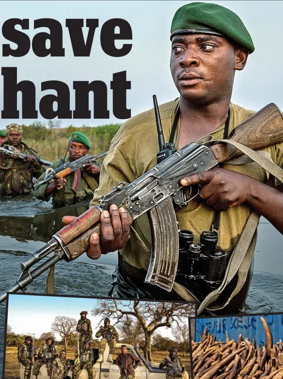  ?? Pictures: BRENT STIRTON/ GETTY IMAGES REPORTAGE ?? On the front line: Rangers cross the river in Congo