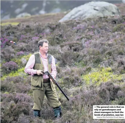  ?? Graeme Hart/Perthshire Picture Agency ?? The general rule is that we rely on gamekeeper­s and shoot managers to limit the levels of predation, says Ian