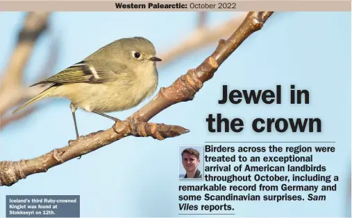  ?? ?? Iceland’s third Ruby-crowned Kinglet was found at Stokkseyri on 12th.