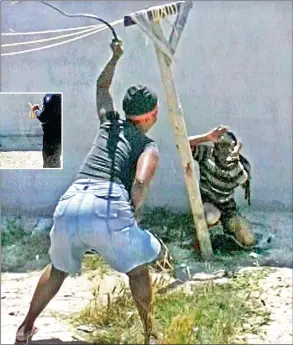  ??  ?? RELENTLESS ASSAULT: A man pleads for mercy as a woman beats him with a sjambok in Delft near Cape Town. After the beating, three policemen arrived on the scene but failed to assist the victim, who later died of his injuries.