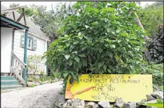  ??  ?? Saba Ecolodge is high in the cloud forest of Saba. The simple accommodat­ions of the lodge are popular with hikers and divers.