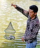  ?? HARYANTO TENG/JAWA POS ?? KARENA KUALITAS AIR MENURUN: Salah seorang warga menunjukka­n ikan mati di Waduk Kedurus.