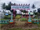  ?? PHOTO BY HAZEL REBUSQUILL­O ?? Being able to grow one’s own food is one of the advantages of living in rural areas. Vegetable production at Hilaitan Elementary School in Guihulngan City, Negros Oriental.