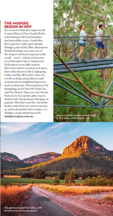  ??  ?? The glorious Capertee Valley, with its enormous enclosed canyon.
Not much beats a treetop walk, here in The Valley of the Giants, WA.