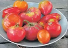  ?? LEE REICH THE ASSOCIATED PRESS ?? Tomatoes were once considered an aphrodisia­c.