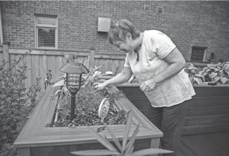  ?? GETTY IMAGES ?? Raised beds have many benefits, one being that they don’t require you to bend over very far to work in your garden. This can be a real back-saver.