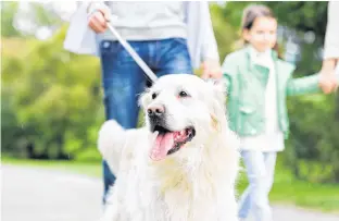  ?? 123RF STOCK PHOTO ?? Something as simple as walking the dog can help you identify as an exerciser.