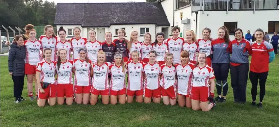  ??  ?? The Tinahely team that defeated Bray Emmets in the Wicklow Division 1 league final in Ashford last week.