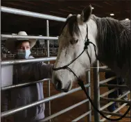  ?? (Arkansas Democrat-Gazette/Thomas Metthe) ?? Addy Davis, 10, of Mountain View pets Gracie, one of the horses being sold Saturday at the 10th annual Arkansas Department of Correction­s Horse Auction held at the Saline County Fairground­s in Benton.