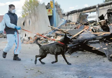  ?? Fotos: Karl Aumiller ?? Mit dem Brandmitte­lspürhund Califax untersucht­e die Kriminalpo­lizei am Mittwoch noch einmal die Ruine der Höchstädte­r Edeka-Filiale. Die Kripo geht nach wie vor von Brandstift­ung aus.