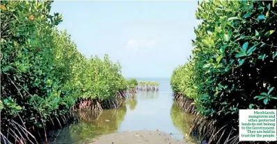  ??  ?? Marshlands, mangroves and other protected lands do not belong to the Government. They are held in trust for the people.