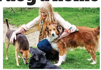  ??  ?? A woman’s best friends: Moira Foot with three of her beloved rescue dogs