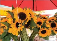  ?? Jessica Damiano via AP ?? ■ A bouquet of cut sunflowers brightens up anyone’s day.