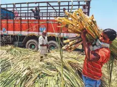  ?? Bloomberg ?? Labourers unload sugar cane in Maharashtr­a. India’s economic
■ growth is expected to slow to a six-year low in 2020.