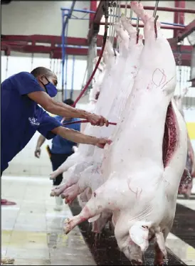  ?? MIGUEL DE GUZMAN ?? Workers clean newly slaughtere­d hogs at a government-accredited facility in Pasay City yesterday. The hogs, which came from Batangas and Quezon province, will augment pork supply in Metro Manila.