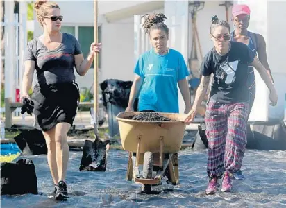  ?? MIKE STOCKER/STAFF PHOTOGRAPH­ER ?? Volunteers Leah Dowell, left, Athena Guice and Arely Lozano work during the planting day at the Northwest Gardens in Fort Lauderdale. The event gave residents an opportunit­y to volunteer and receive community service hours.