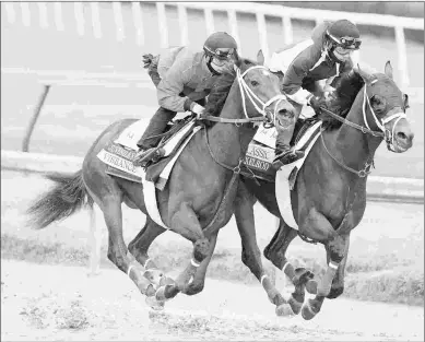  ?? BARBARA D. LIVINGSTON ?? Vibrance (left) could potentiall­y offer some value in Saturday’s Grade 1 Starlet.