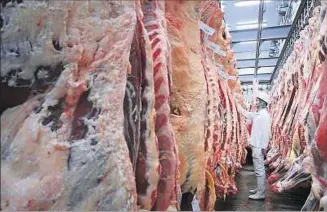  ??  ?? FRIGORÍFIC­OS. Se desaceleró exportació­n de carne vacuna y algunos cortes no encuentran mercado.