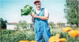  ?? FOTO: SACHARIAS KÄLLDÉN ?? STOLT. Adel Kasouha, 48 år, från Syrien är stolt över odlingen som han skött själv i Sköndal.