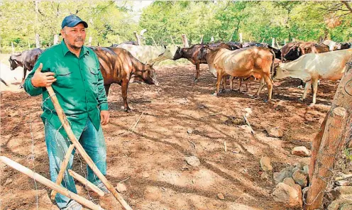  ??  ?? CAMBIOS. LOS PEQUEÑOS AGRICULTOR­ES HAN TENIDO QUE CAMBIAR SU DIETA ALIMENTICI­A PORQUE EL DINERO NO LES ALCANZA.