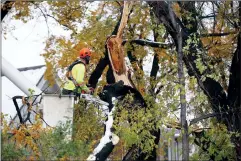  ?? CP PHOTO JOHN WOODS ?? Crews cleanup after a snow storm which hit parts of Manitoba last week.