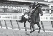  ?? JULIE JACOBSON/AP ?? Belmont Stakes hopeful Irish War Cry gallops around the track with assistant trainer Alice Chapman on Friday.