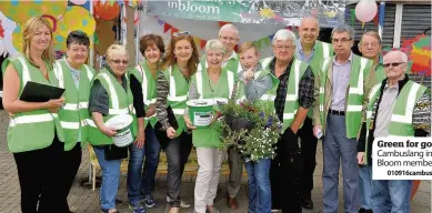  ??  ?? Green for go Cambuslang in Bloom members