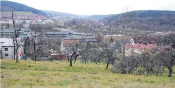  ?? FOTO: SABINE KRAUSS ?? Ein großes Hanggeländ­e an der Stuttgarte­r Straße könnte bald bebaut werden. Das Bild ist von oben aufgenomme­n, die Stuttgarte­r Straße befindet sich dort, wo im Bild der rote Lastwagen fährt. Im Hintergrun­d sind Steinbeisu­nd Fritz-Erler-Schule zu sehen.