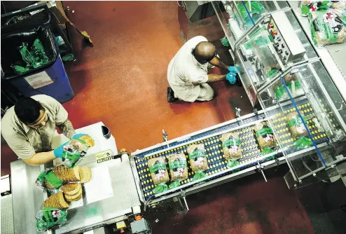  ?? TONI GREAVES / THE NEW YORK TIMES FILES ?? The packaging line at Dave’s Killer Bread in Oregon, whose founder spent 15 years in prison on drug-related charges. At least 30 per cent of its 240 staffers have criminal background­s.