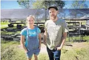  ?? PHOTOS BY JOE BURBANK/STAFF PHOTOGRAPH­ER ?? Zach and Jennifer Kauffman grow microgreen­s and veggies for restaurant­s at Zenn Naturals, their Eustis farm damaged by Irma. Losses included a tomato greenhouse, left.