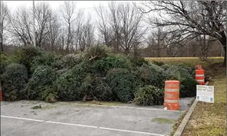  ?? CONTRIBUTE­D ?? Five RiversMetr­oParks is asking for people to drop-offtheir used Christmas trees to be sunk in Eastwood Lake.