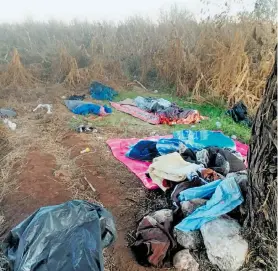  ?? CORTESÍA: SSP ZACATECAS ?? Autoridade­s también desmantela­ron un campamento del narco