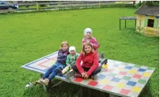  ?? Archivfoto: Johann Eibl ?? Sitzgelege­nheiten an der Feuerwehr und ein Pavillon am Spielplatz (Bild) werden nach den aktuellen Plänen des Arbeitskre­ises zur Dorferneue­rung im Moment disku tiert.