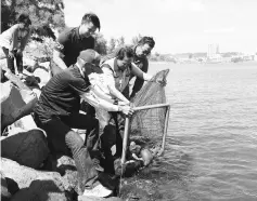  ??  ?? Julaihi and members of MAC releasing the catch back into the river at the end of the competitio­n.