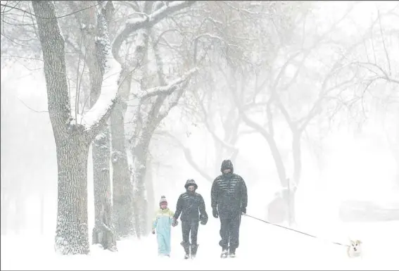  ??  ?? Bob Goodyear walks Rosie, the corgi, as he walks with Suzanne Martin (center), and her granddaugh­ter, Zoe Martin, in front of University Park Elementary in south Denver, Feb 24. Snow is
expected to fall throughout the day. (AP)