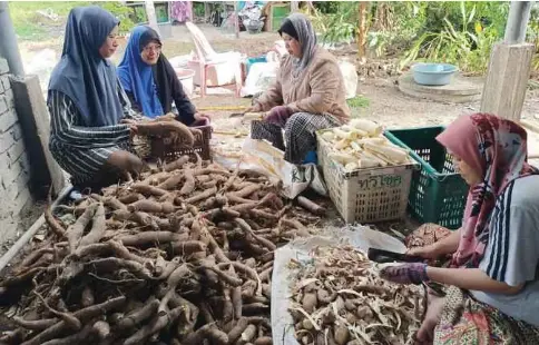  ?? Tumpat. - Gambar NSTP/SITI ROHANA IDRIS ?? SITI Shafikah bersama pekerjanya, mengupas ubi kayu untuk diproses menjadi debu di rumahnya di Kampung Teluk Jering,