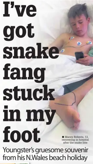  ??  ?? ● Macey Roberts, 13, recovering in hospital after the snake bite