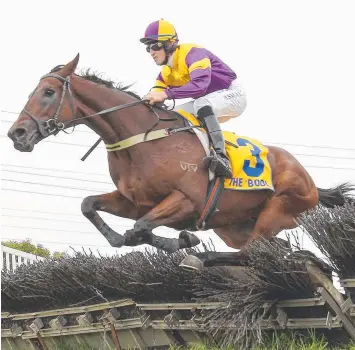  ?? Picture: PAT SCALA/RACIMG PHOTOS ?? OVER THE TOP: Two Hats ridden by Braidon Small wins the Sovereign Resort Galleywood Hurdle yesterday at Warrnamboo­l.