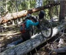  ?? SCOTT MORRIS VIA AP ?? In this photo provided by Scott Morris, Eszter Horanyi carries her loaded bikepackin­g bike over downed trees in New Mexico on the Continenta­l Divide Trail.