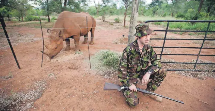  ?? Photo: Madelene Cronjé ?? No silver bullet: Protecting South Africa’s rhinos requires a variety of concurrent strategies.